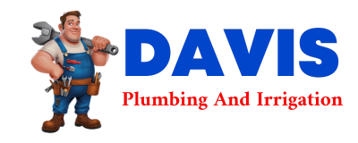 Trusted plumber in BAD AXE